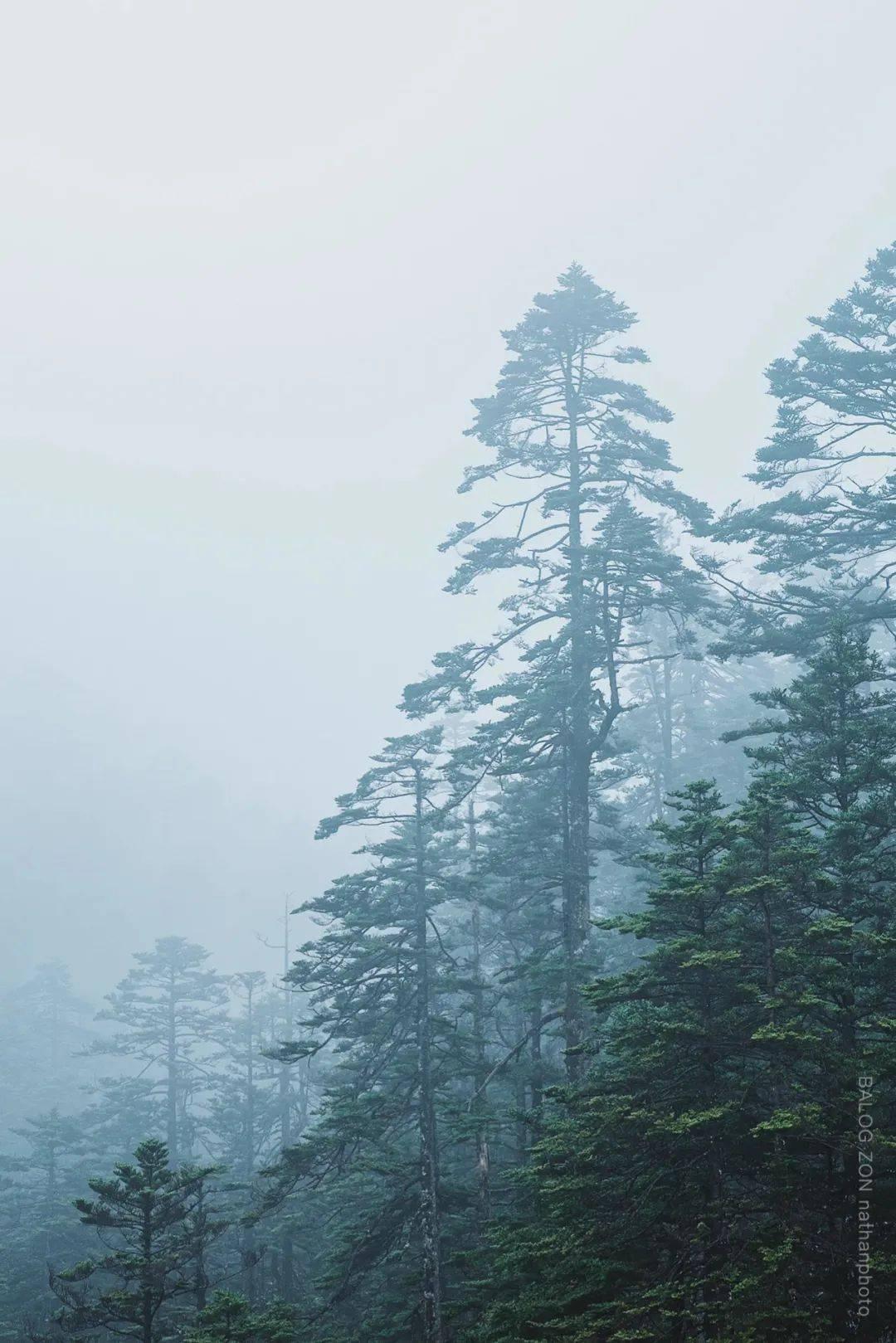 大雪滞留送温暖 一碗姜茶抚人心